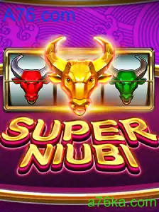 SuperNiubi